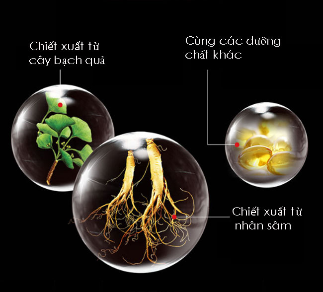  Nhập sỉ Kem cường dương Pjur man Xtend của Đức giá tốt
