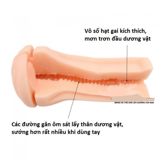 Cung cấp Âm đạo giả silicon Fleshlight 7 cđ giá tốt