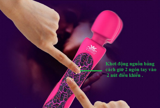  Phân phối Massage âm đạo Louge 4 đầu hàng xách tay