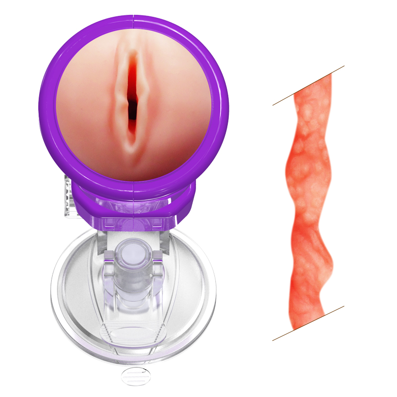  Bỏ sỉ Cốc thủ dâm gắn tường Youcup Dream Girls hàng mới về