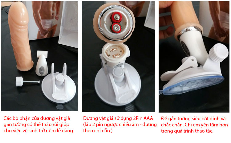 Cung cấp Dương vật giả mới giá rẻ Chisa giá rẻ
